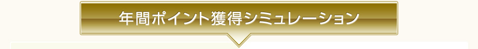 年間ポイント獲得シミュレーション