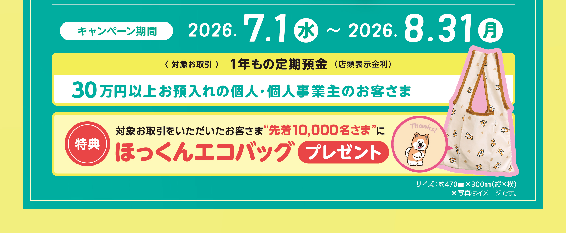 期間：2026年7月1日（水）～8月31日（月）　1年もの定期預金を30万円以上お預入れの個人・個人事業主の先着10,000名さまに「ほっくんエコバッグ」プレゼント