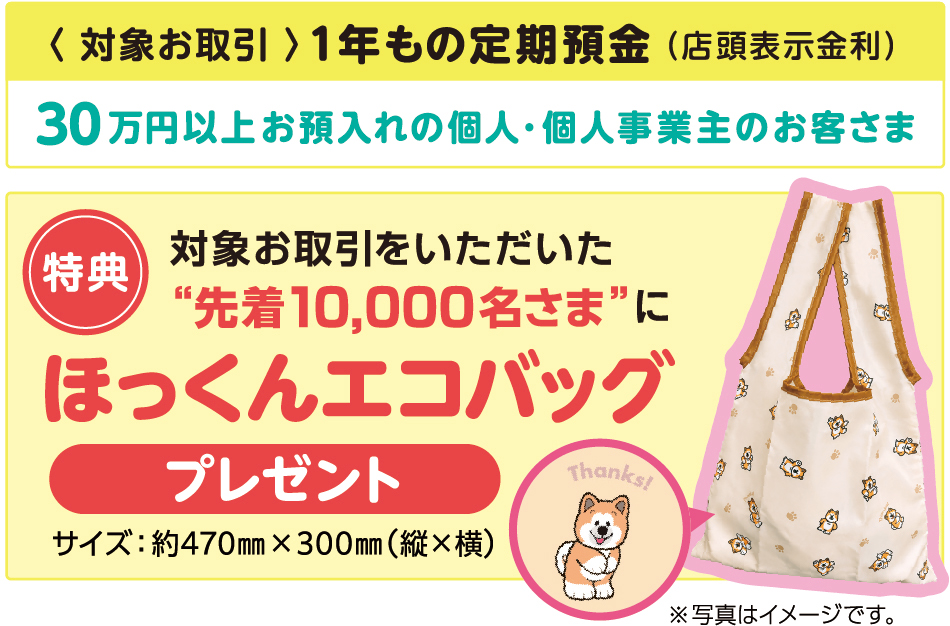 1年もの定期預金を30万円以上お預入れの個人・個人事業主の先着10,000名さまに「ほっくんエコバッグ」プレゼント