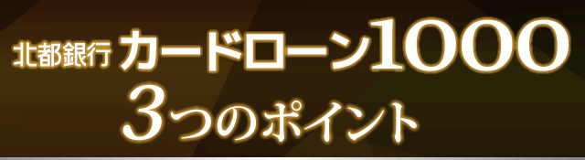 「カードローン1000」3つのポイント