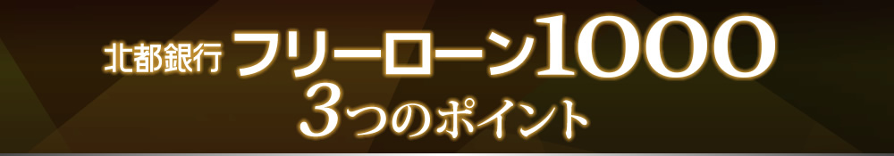 「フリーローン1000」3つのポイント