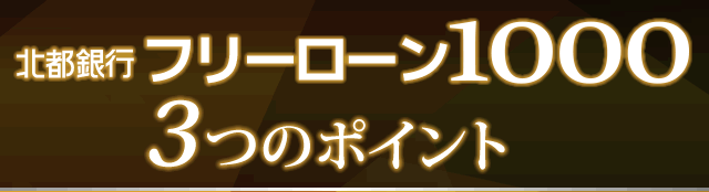 「フリーローン1000」3つのポイント