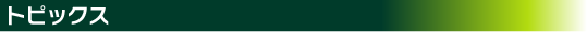 gsbNX